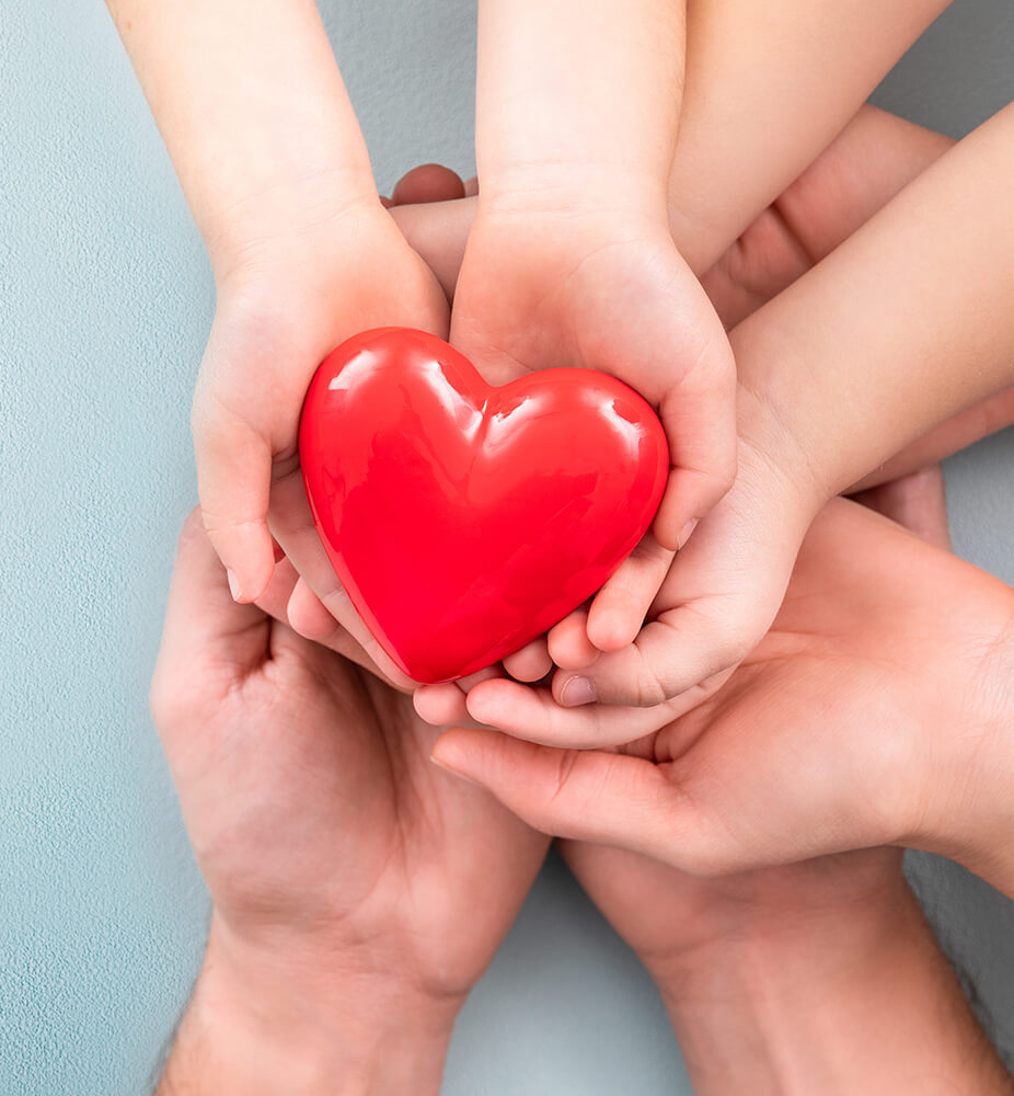 Huge Template Collection